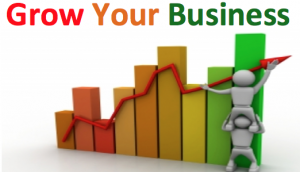 business growth bizprofitpro