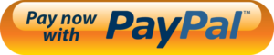 PayPal PayNow Button Bizprofitpro